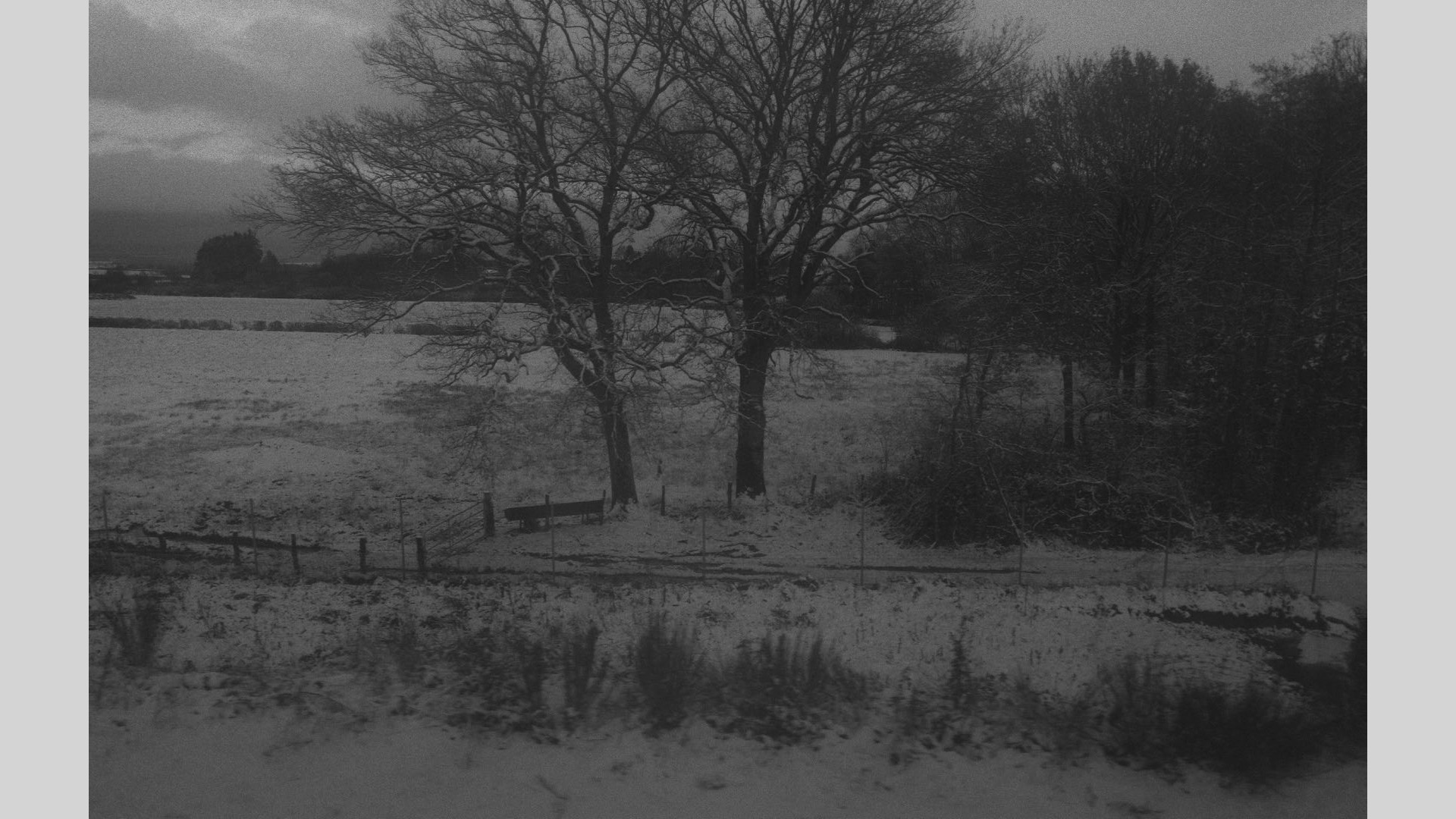 Hiver, Champs, Train image 4
