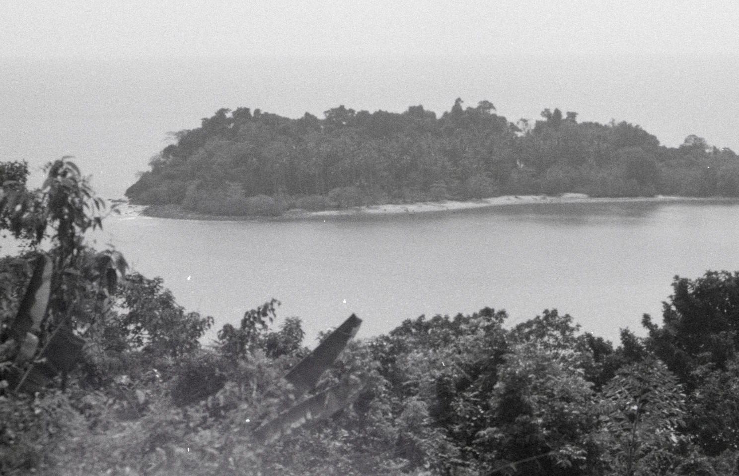 A distant island seen through trees