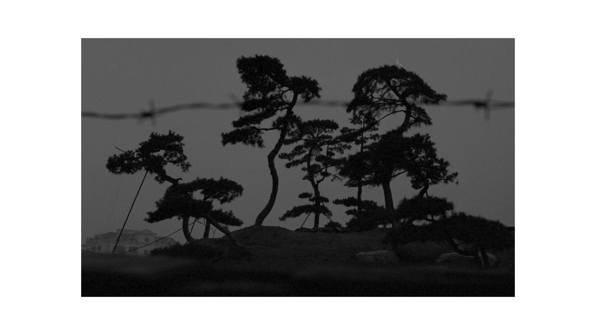 L’éclipse des divinités image 3